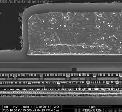 SEM section view of general device structure