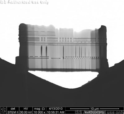 STEM section view of sample on grid