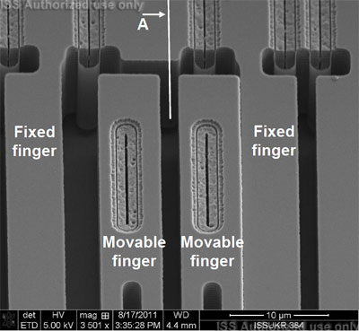 Top-down tilted SEM view of MEMS structures